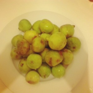 You don't even understand how good these were.