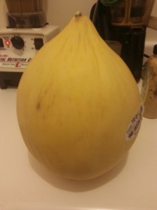 It looks like a giant onion, no?