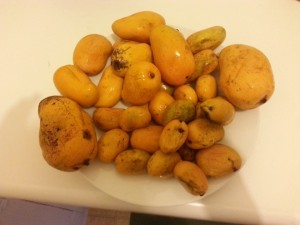 Aren't they so cute?