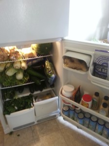 Is it a fridge or a jungle?