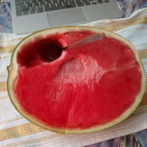 watermelon