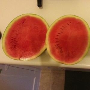 That is what summer tastes like