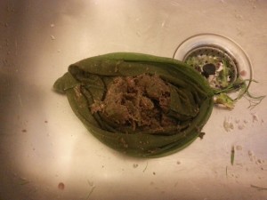 Chunky juice is not so nice