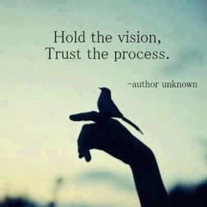 hold vision