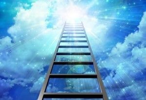 ladder