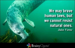 natural laws