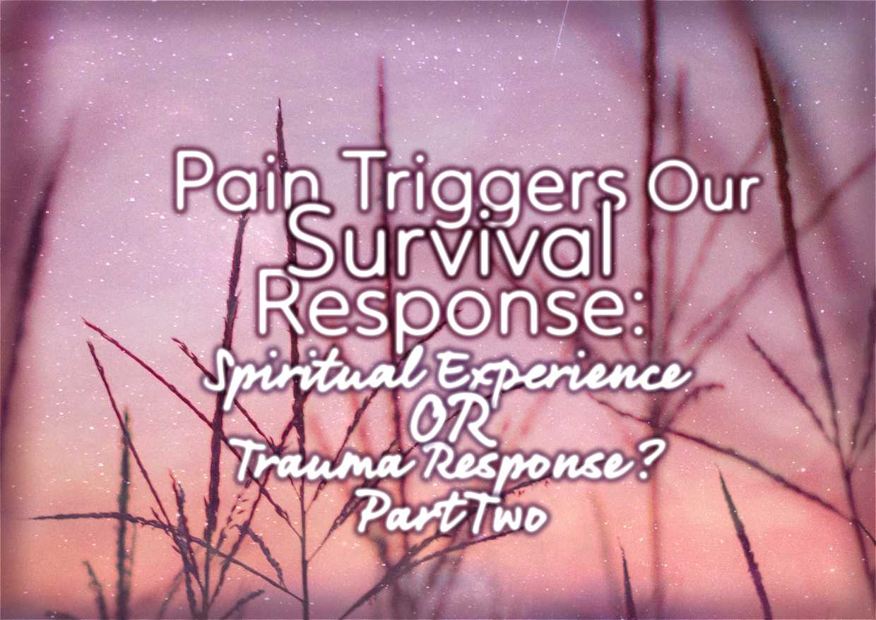 Pain Triggers Our Survival Response: Enlightenment Or Trauma Response? Part Two