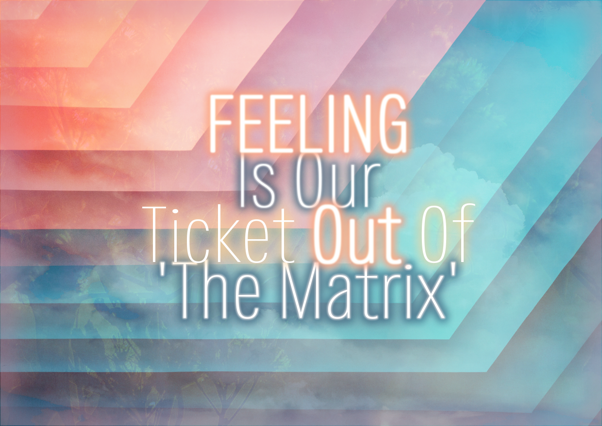 FEELING Is Our Ticket Out Of ‘The Matrix’