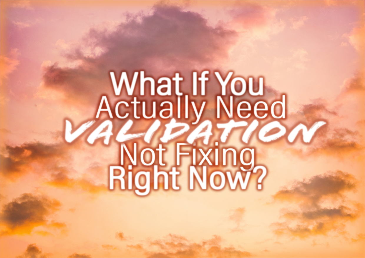 What If You Actually Need VALIDATION Not Fixing Right Now?